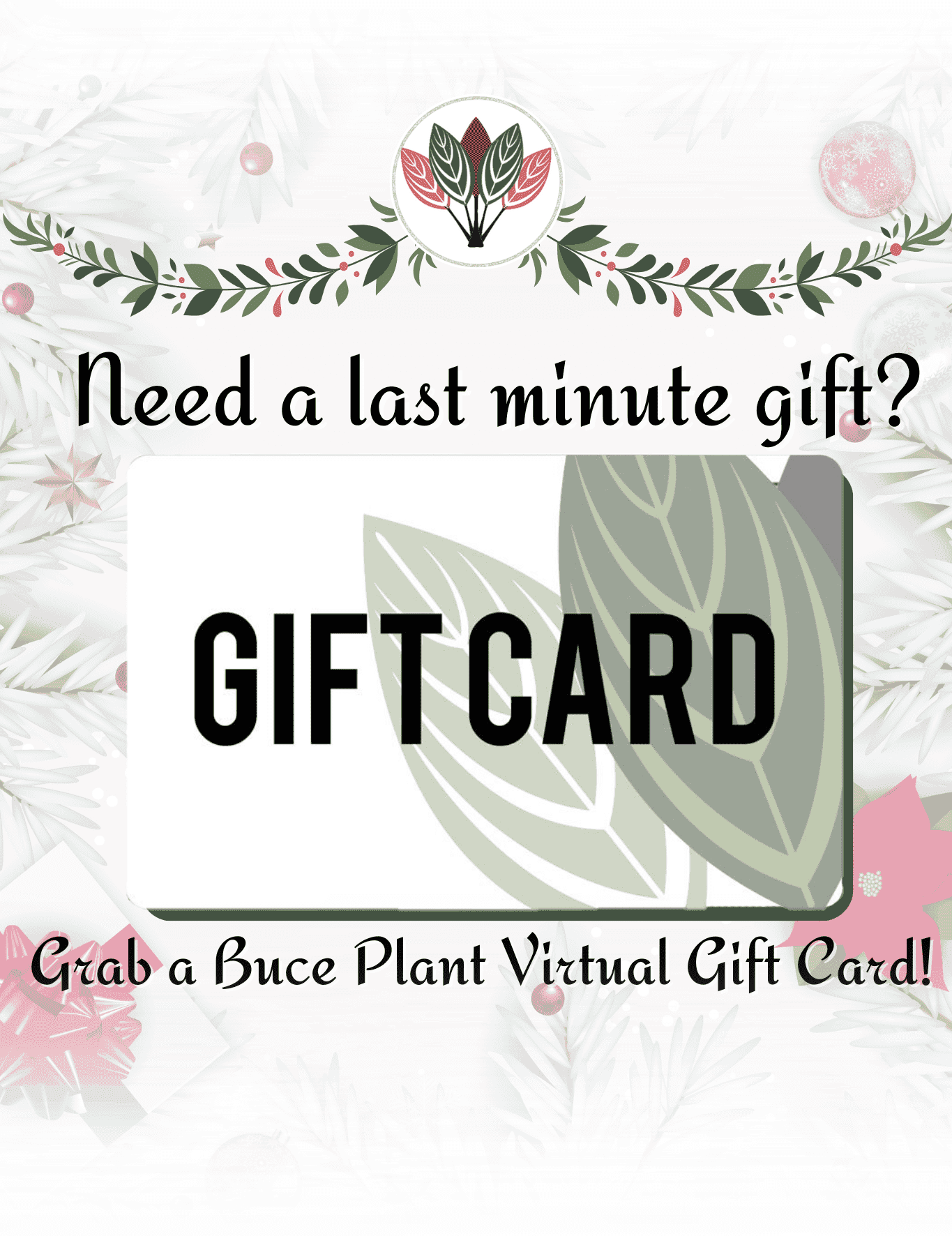 Buce Plant Gift Card