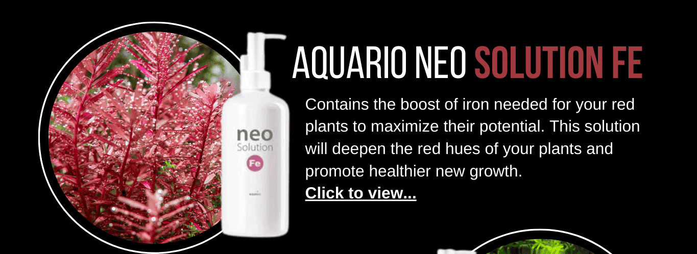 Aquario Neo Solution FE - Liquid Iron Fertilizer