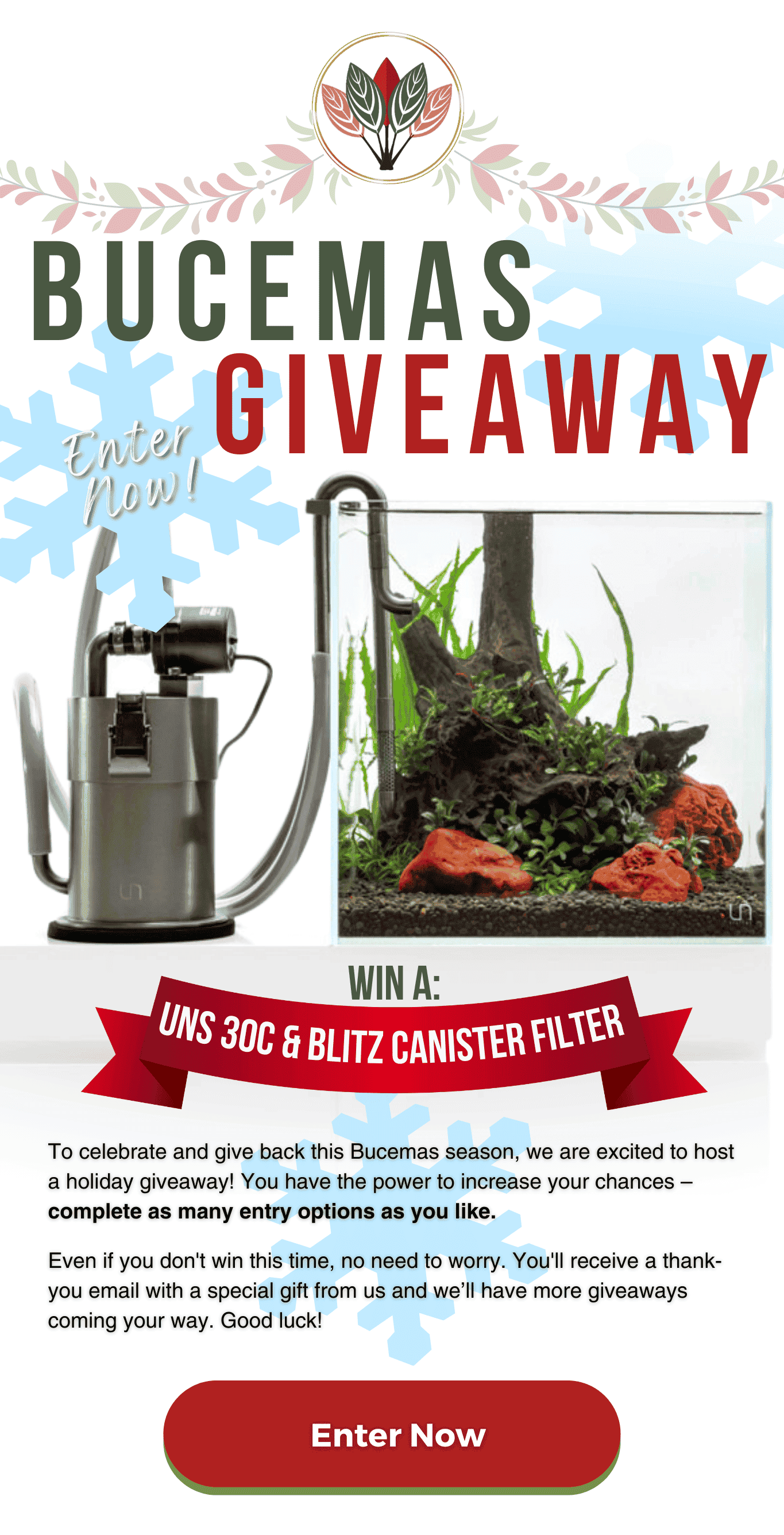 buce plant giveaways