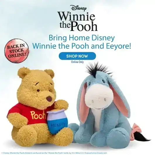 Primary Winnie the Pooh and Eeyore