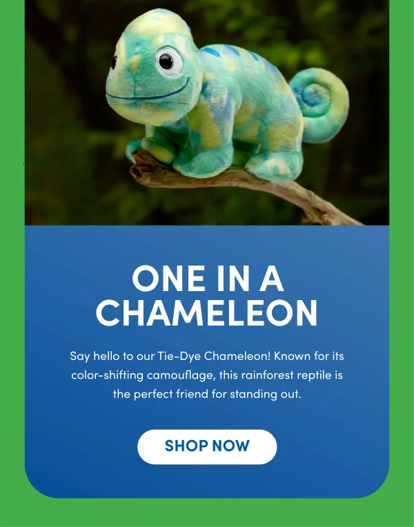 Primary Chameleon Early launch