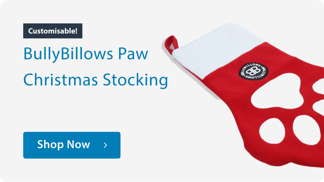 Paw Christmas Stocking