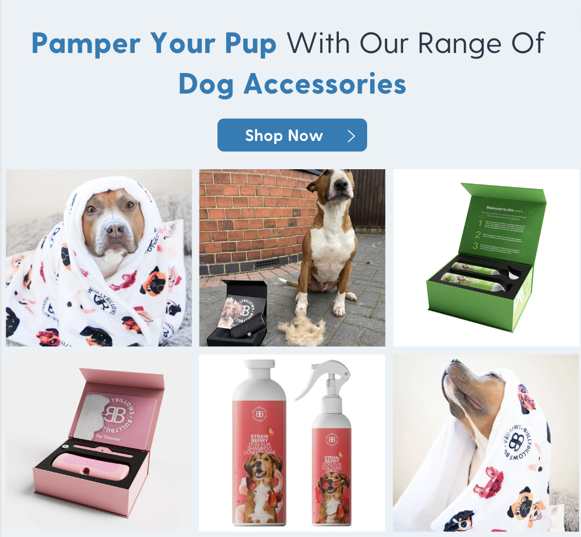 Pamper Your Pup