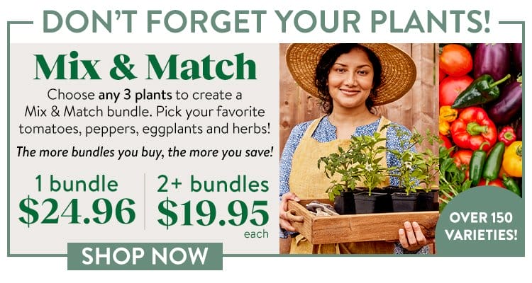 Mix & Match Plant Bundles