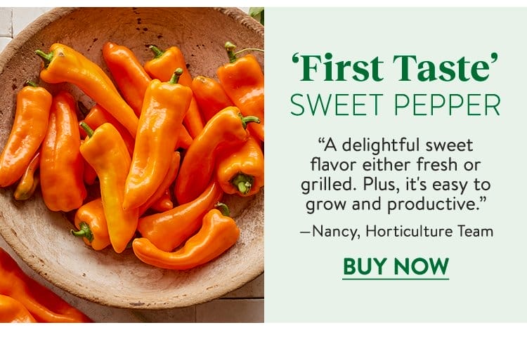 Pepper, Sweet, First Taste