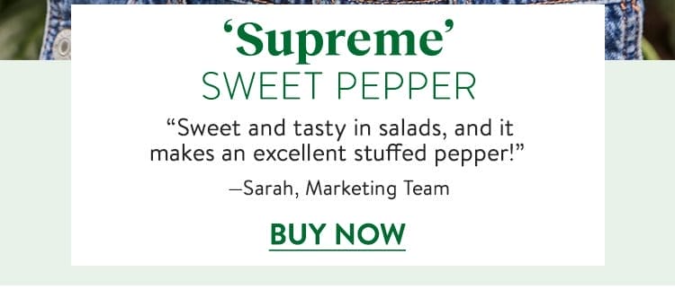 Pepper, Sweet, Supreme Hybrid