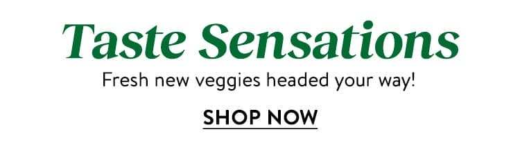 New Vegetable Seeds & Plants