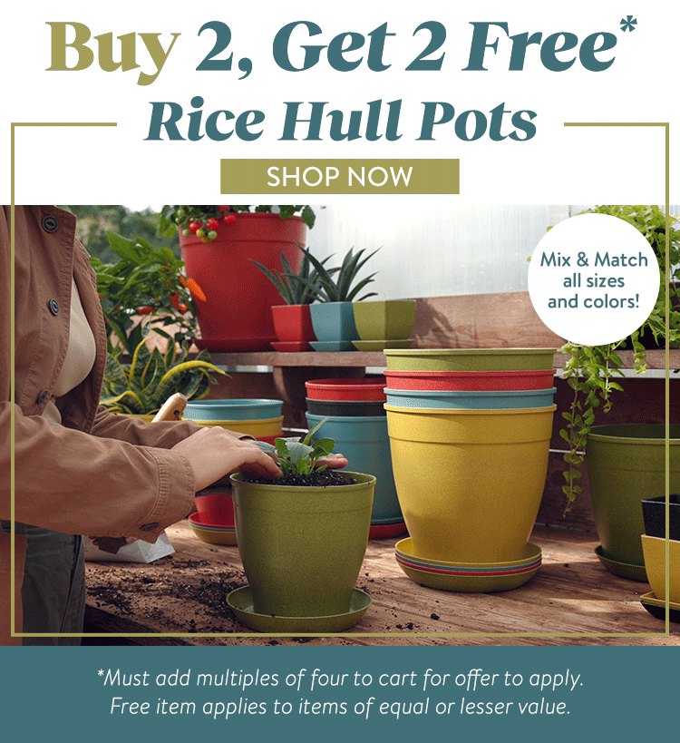 Buy 2, Get 2 FREE All Rice Pots