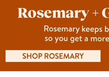 Rosemary Seeds & Plants