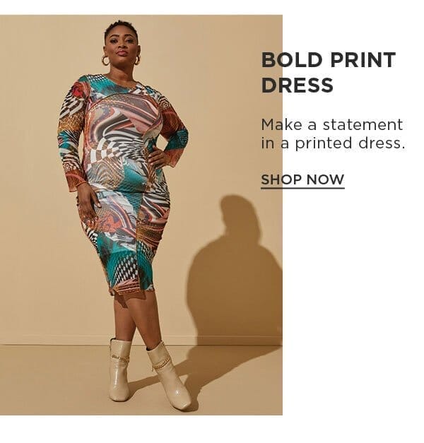 Seamed Printed Mesh Bodycon Dress