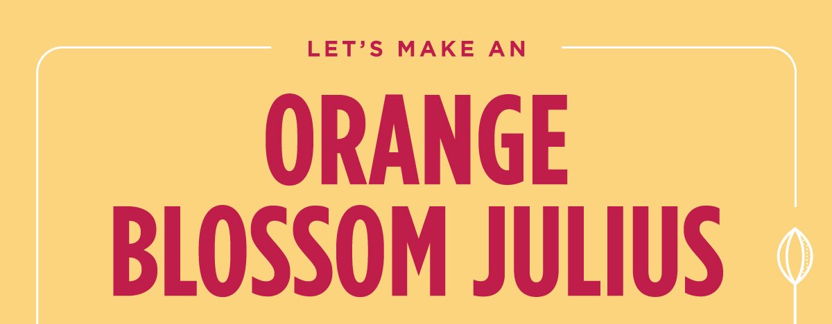 Let's make an Orange Blossom Julius