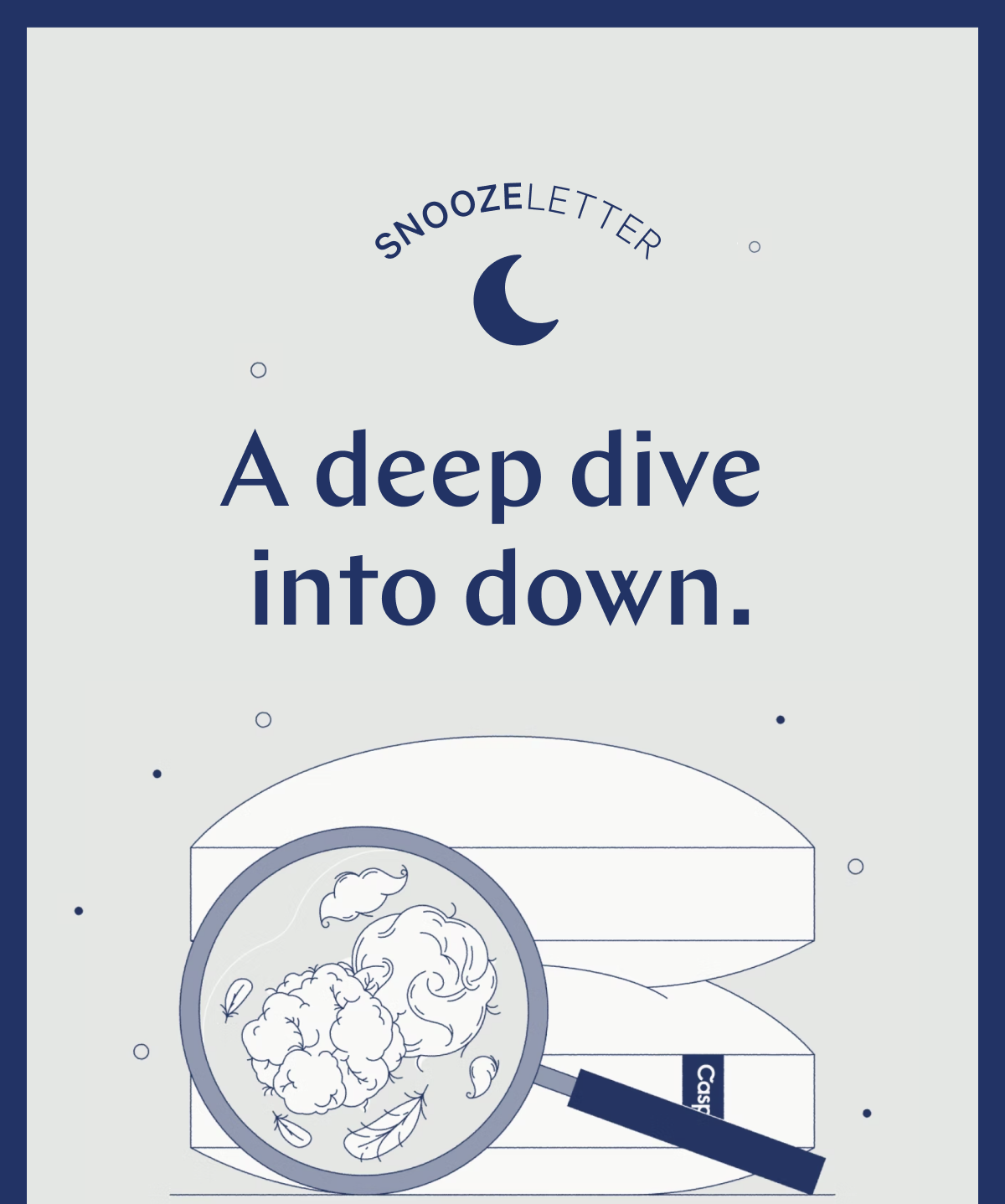SNOOZELETTER >> A deep dive into down. >>