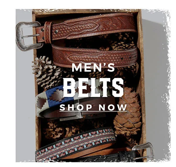 Men's Belts | Shop Now
