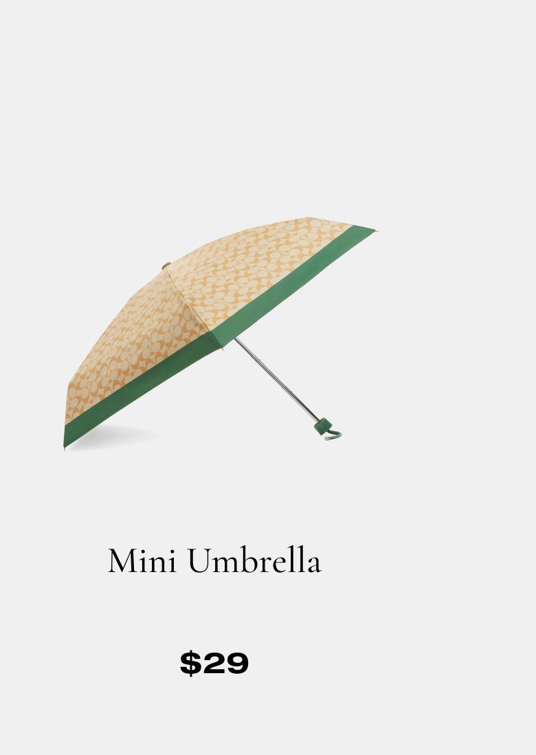 Mini Umbrella