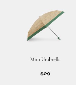 Mini Umbrella \\$29