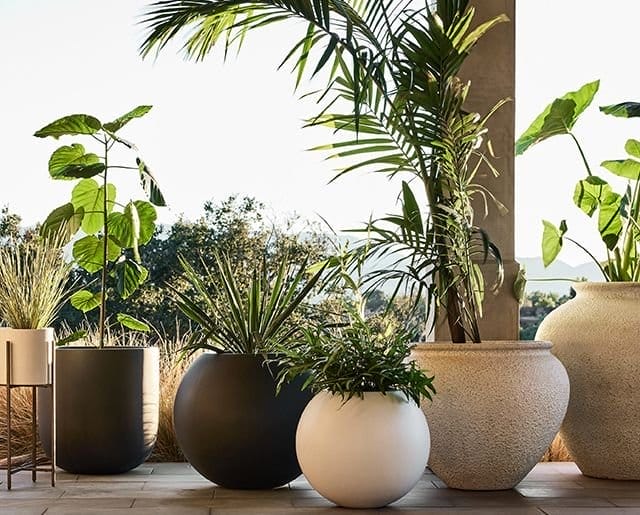 sphere planters