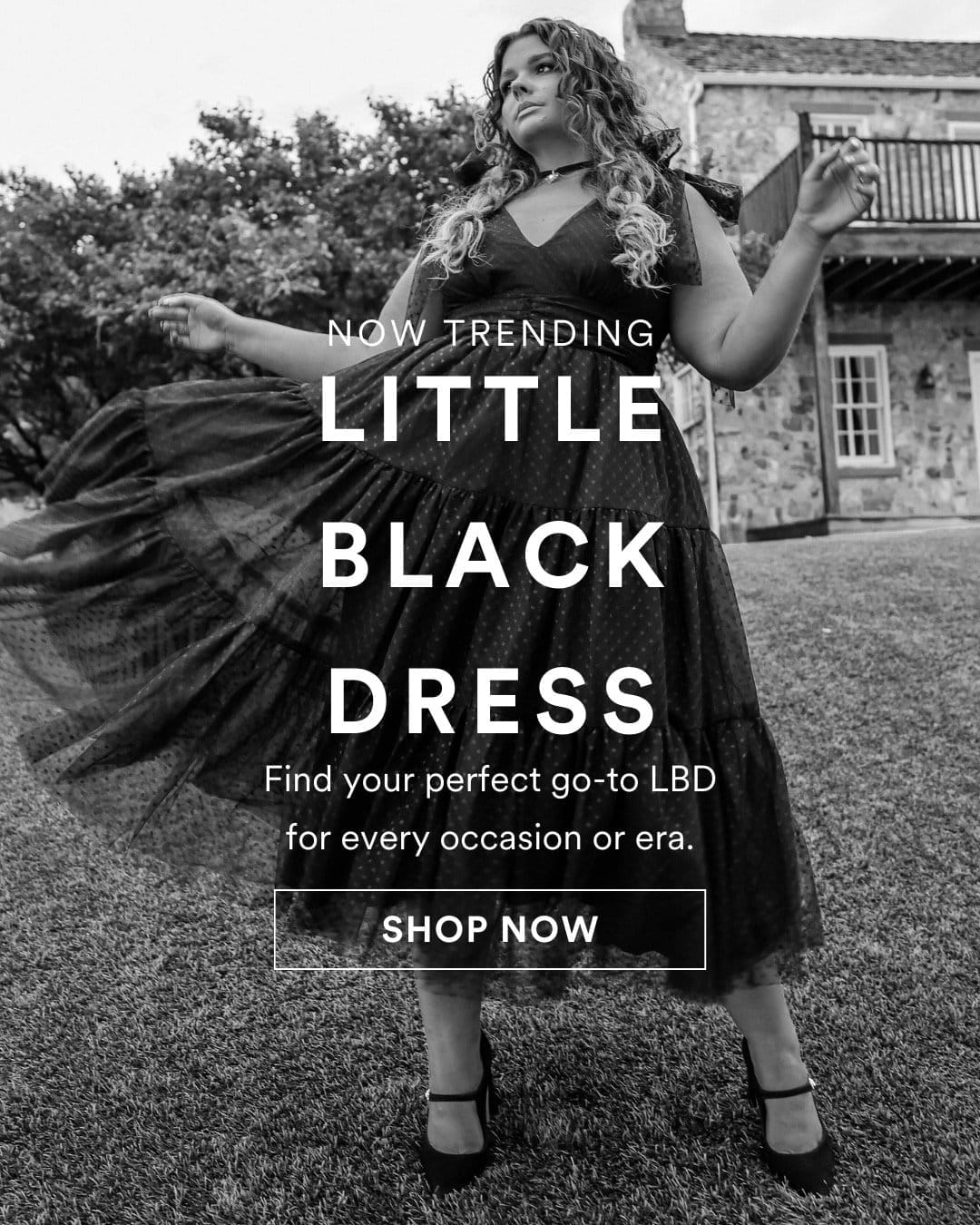 Little Black Dress Shop Now