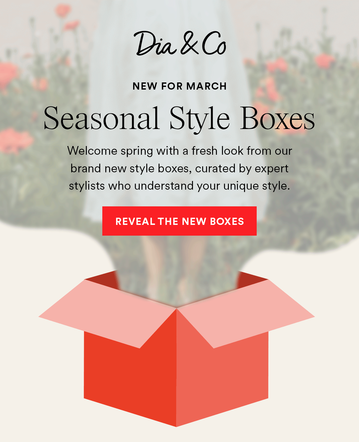 New for March Seasonal Style Boxes. Reveal The New Boxes