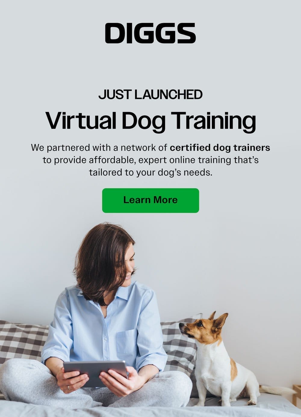 Just launched: virtual pet training