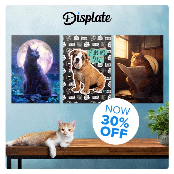Displate up to 30%OFF