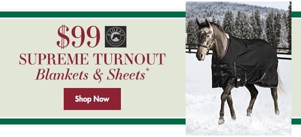 \\$99 Rider's International Supreme Turnout Blankets & Sheets