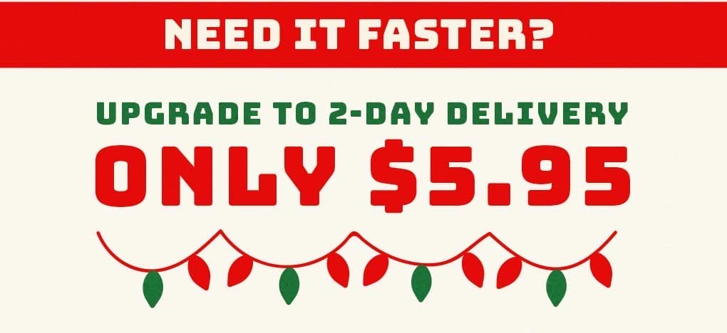 Christmas Delivery Deal