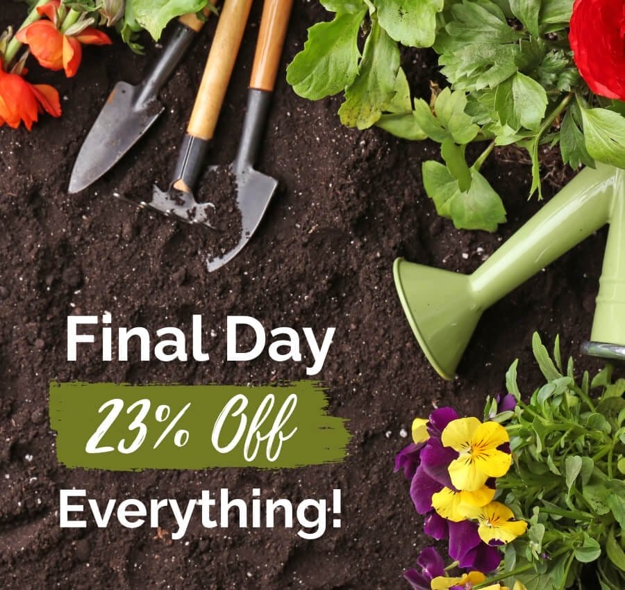 Final Day 23% Off Everything!