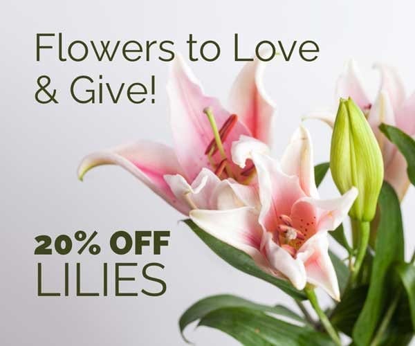 20% OFF LILIES