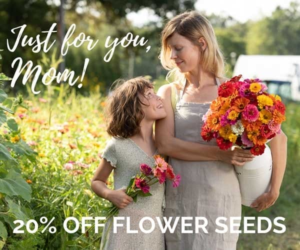20% Off Flower Seeds