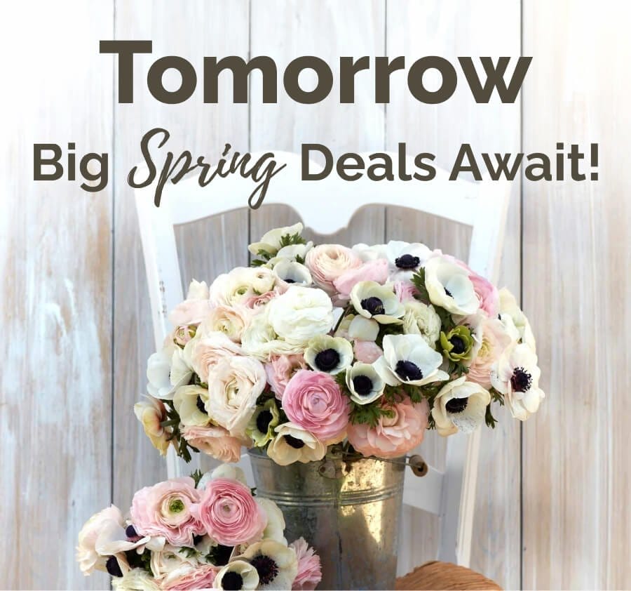 Tomorrow Big Spring Deals Await!: Plan Ahead