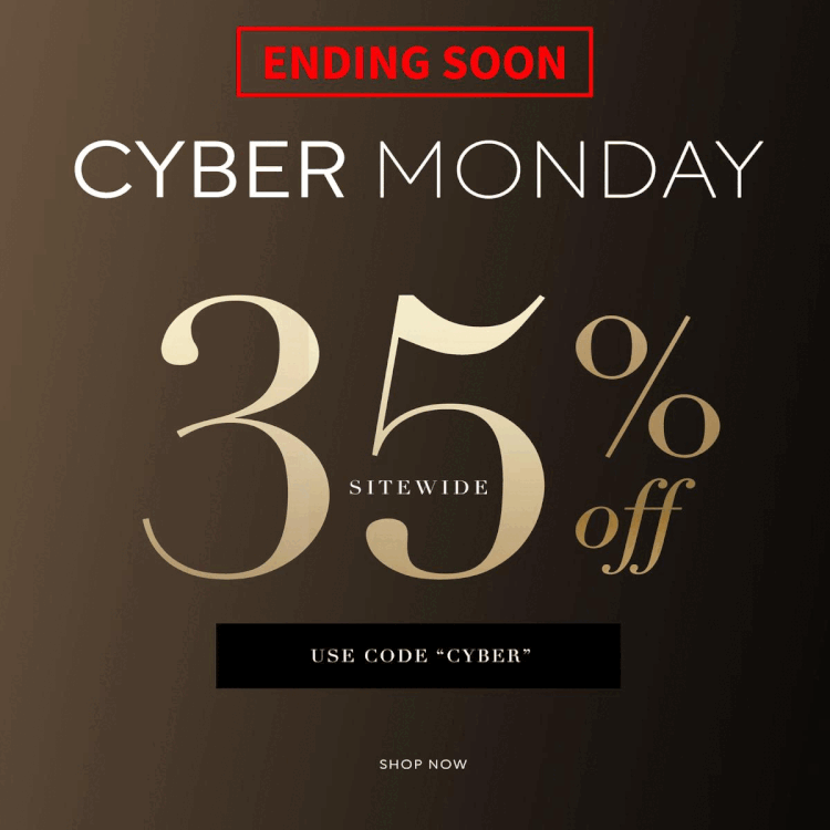 Cyber Monday Sale Ending