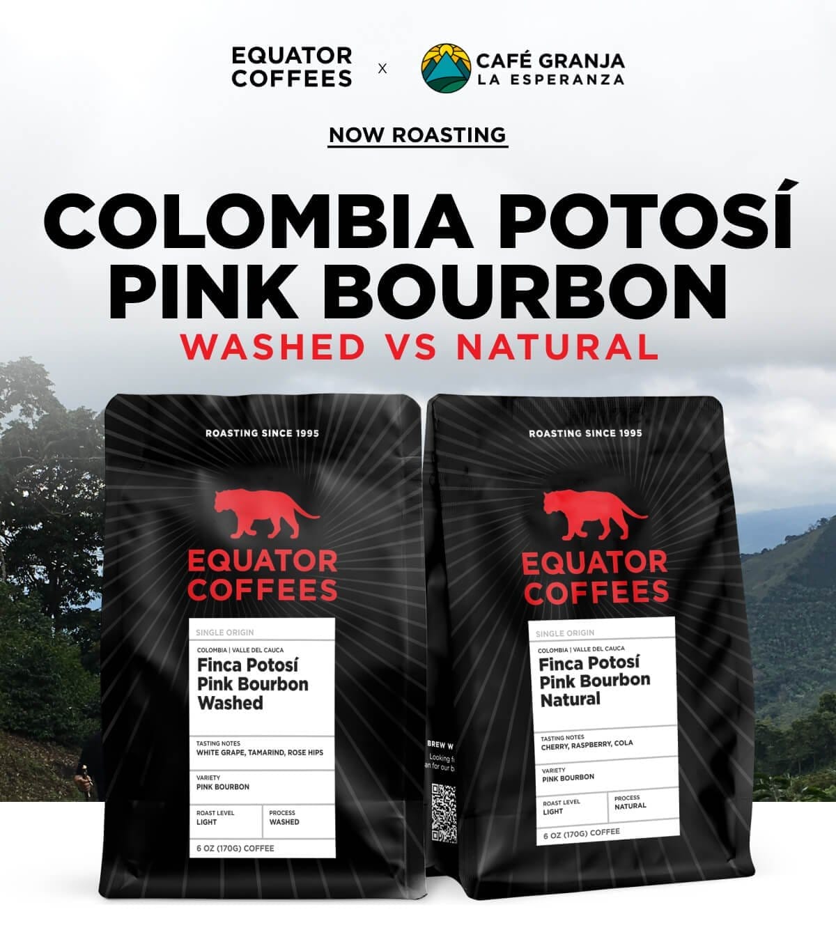 Now Roasting: Colombia Potosí Pink Bourbon Natural