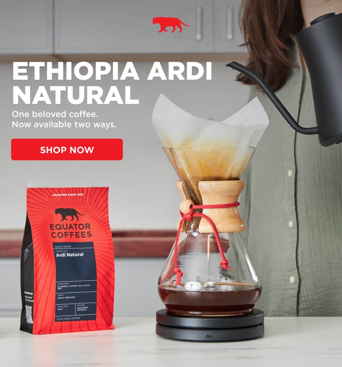 Ethiopia Ardi Natural: One beloved coffee, two ways