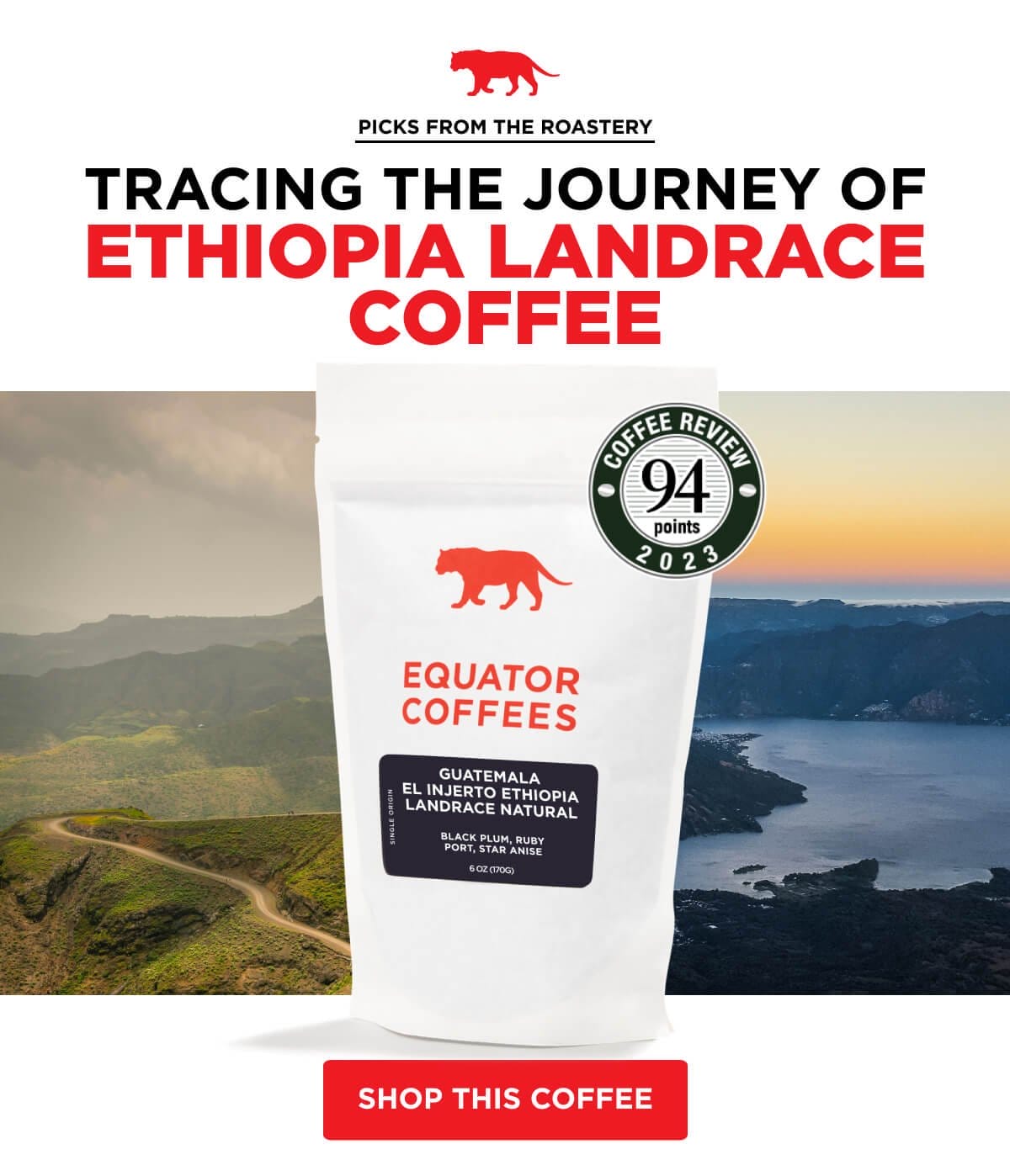 Tracing the Journey of Ethiopia Landrace Coffee