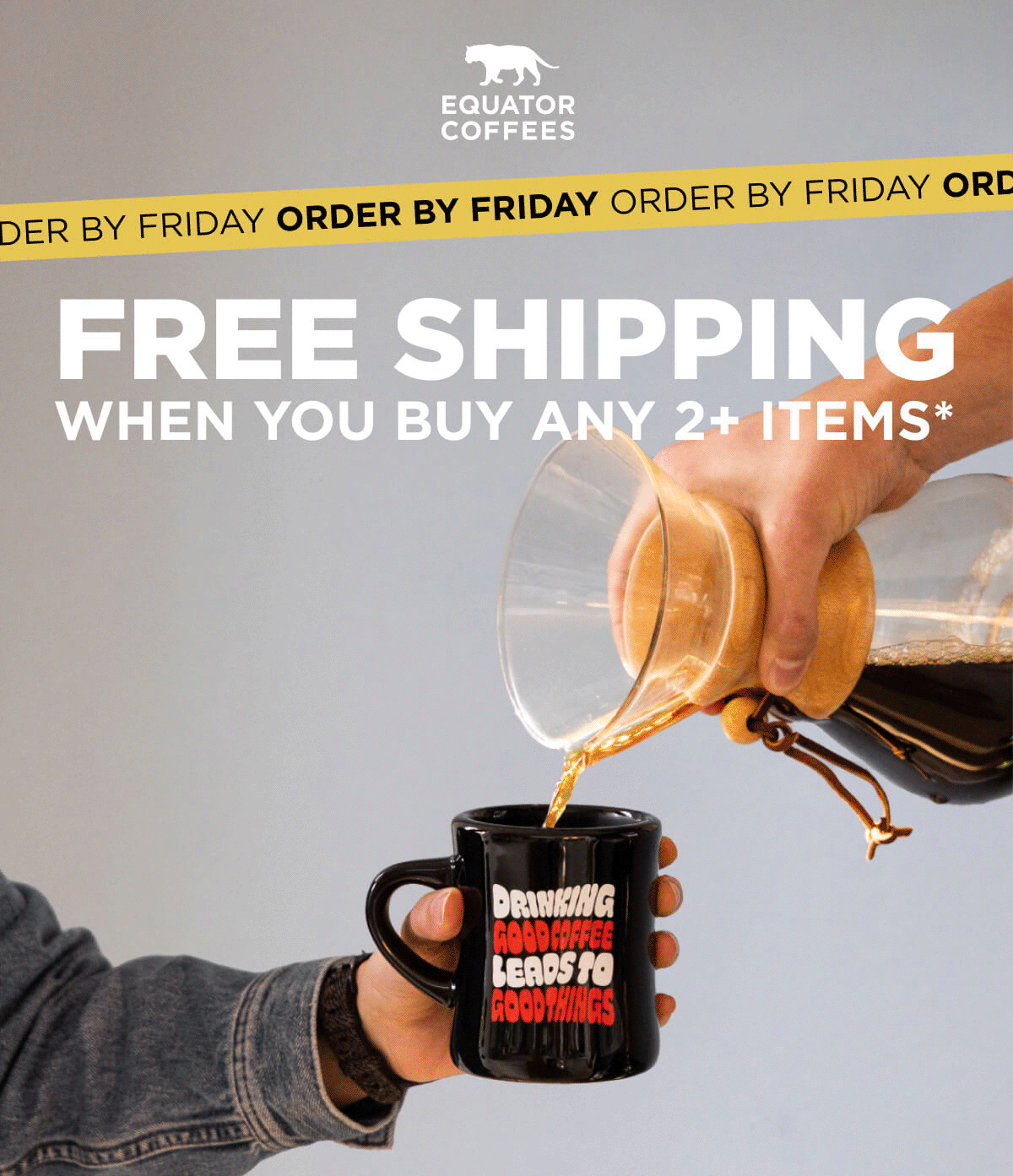 Free Shipping when you buy any 2+ items
