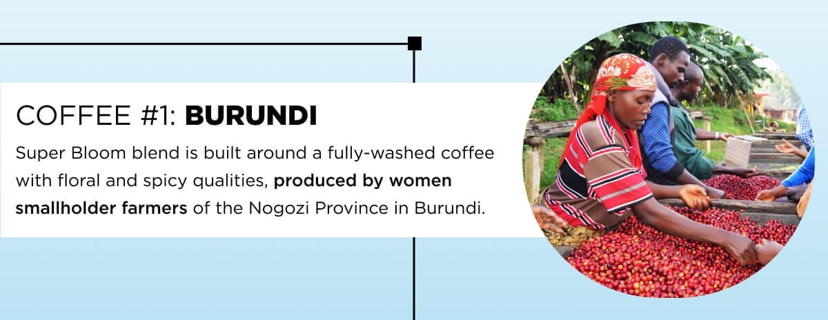 Coffee #1: Burundi
