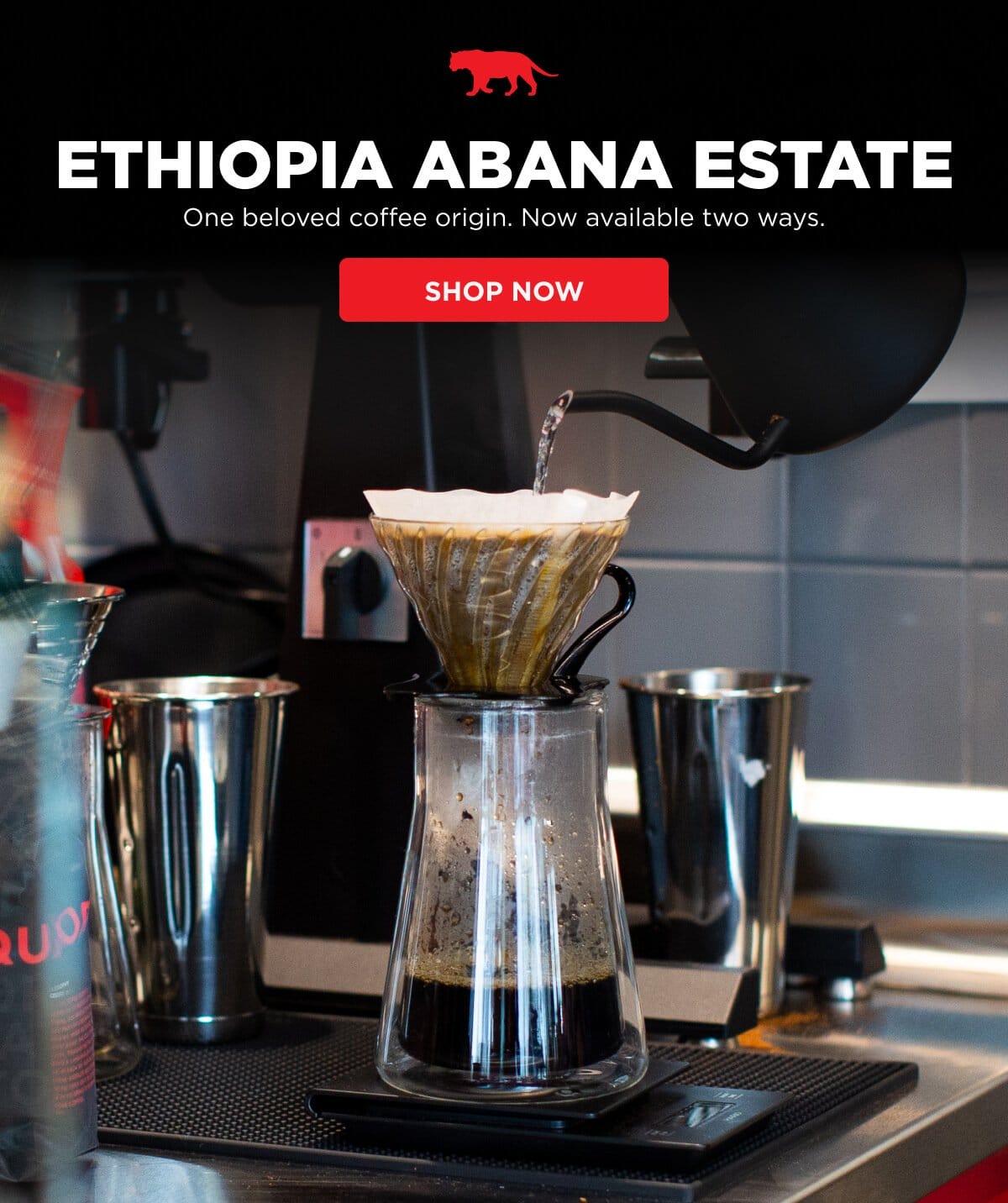Ethiopia Abana Estate: One beloved coffee, two ways