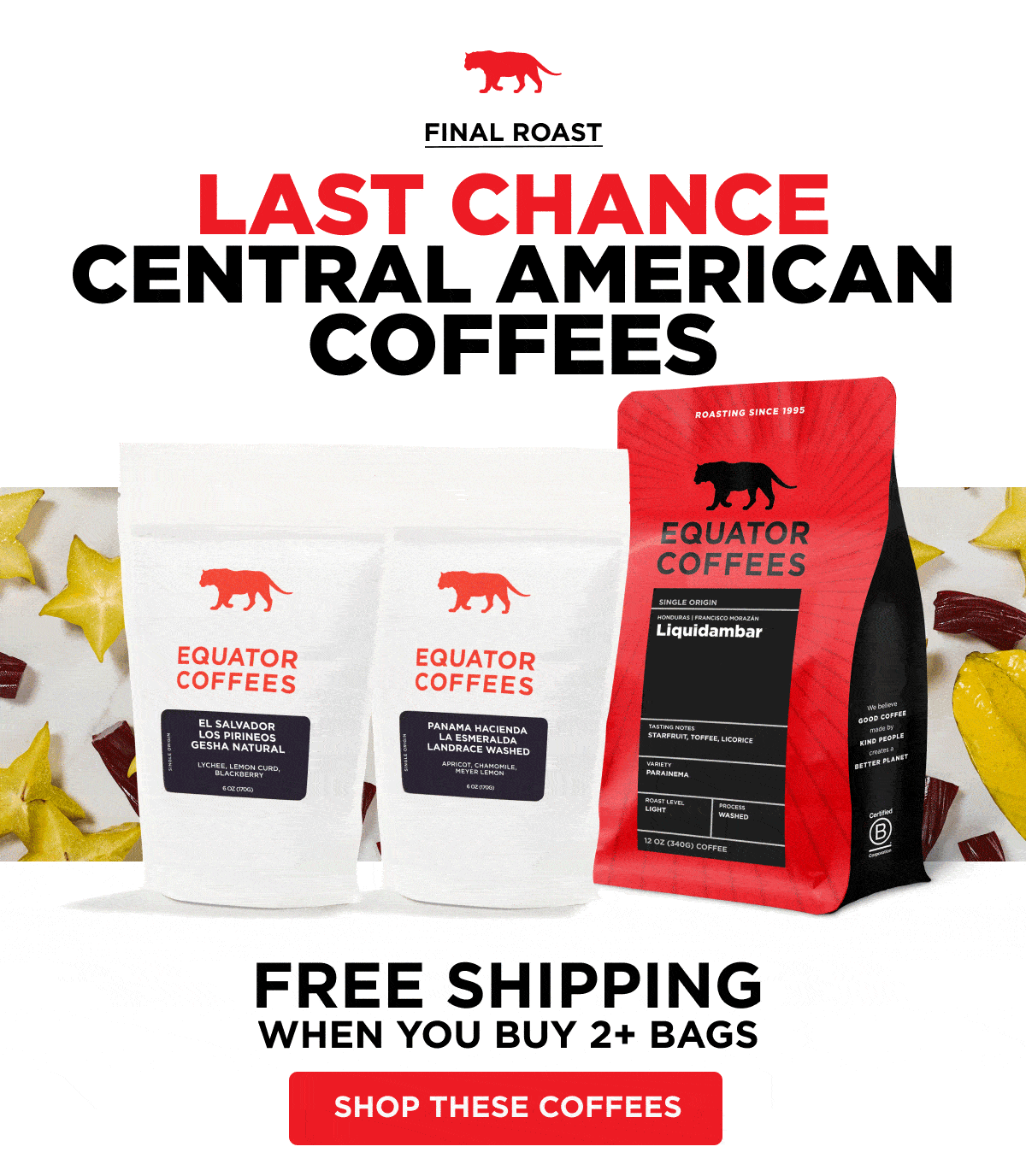 Final Roast: Three Last Chance Central American Coffees