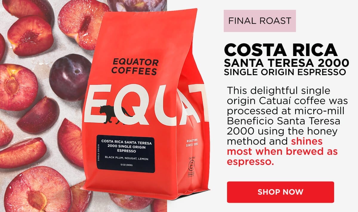 Costa Rica Santa Teresa 2000 Single Origin Espresso
