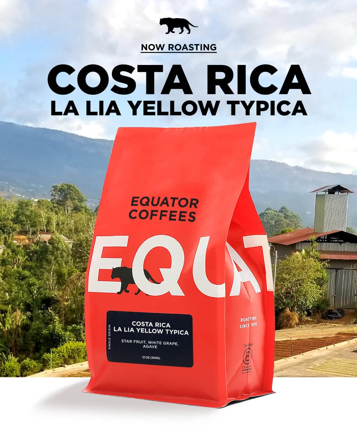Now Roasting: Costa Rica La Lia Yellow Typica