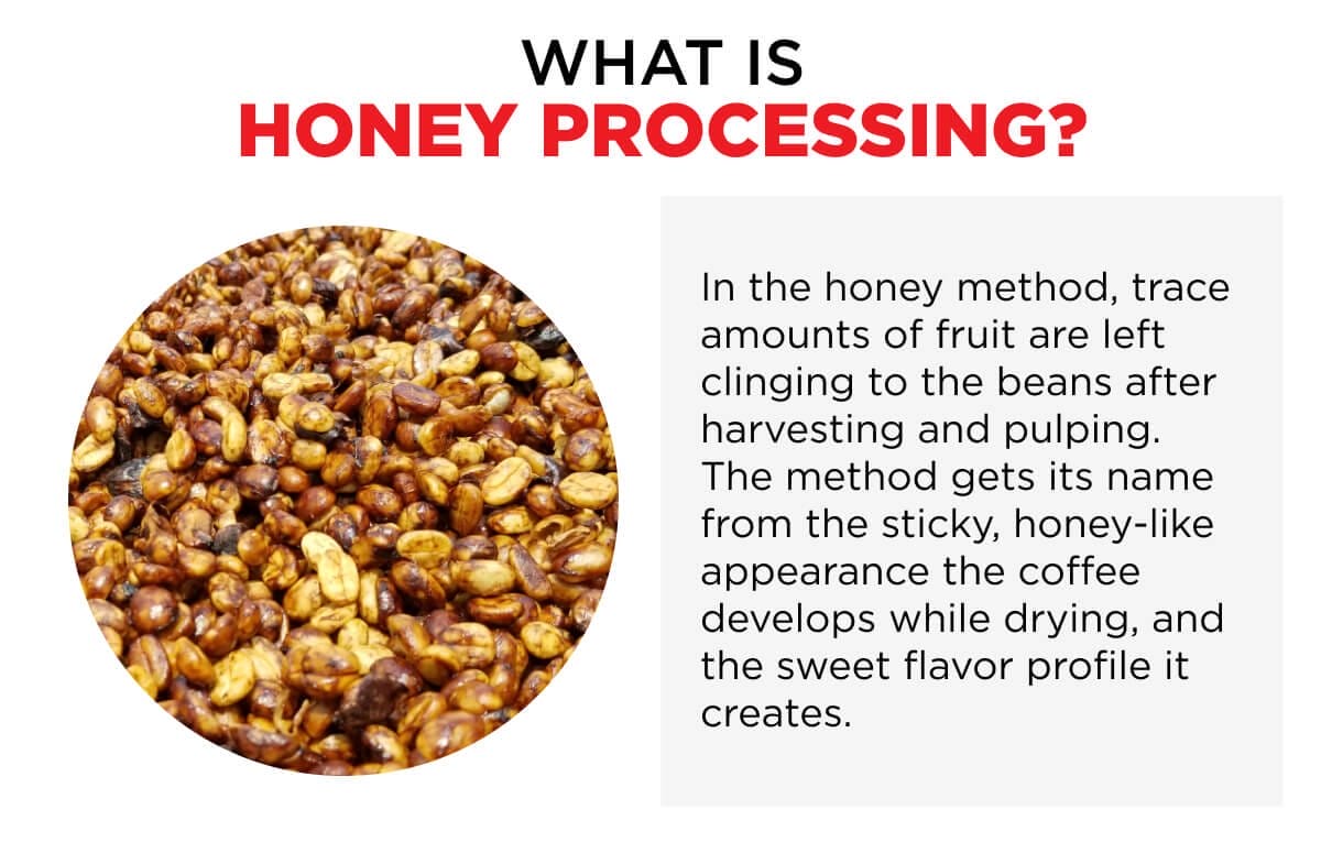 What is Honey Processing?
