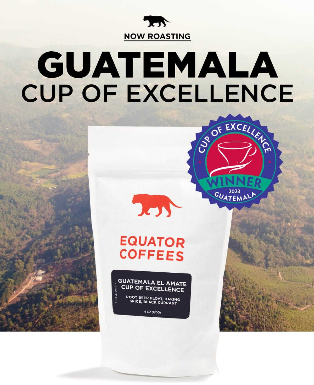 Now Roasting: Guatemala El Amate Cup of Excellence