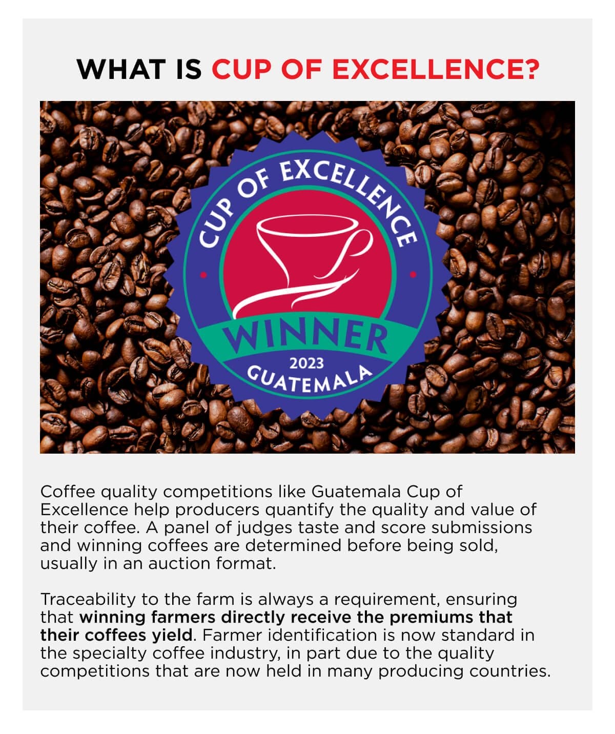 What is Cup of Excellence?