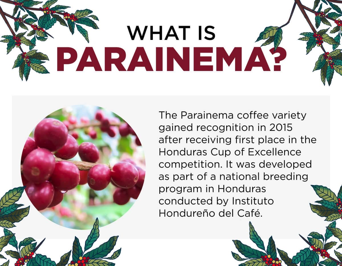 What is Paraneima?