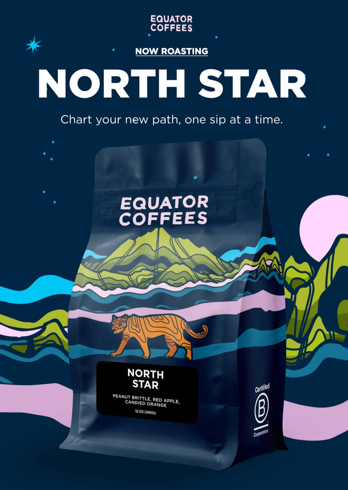 Now Roasting: North Star Blend