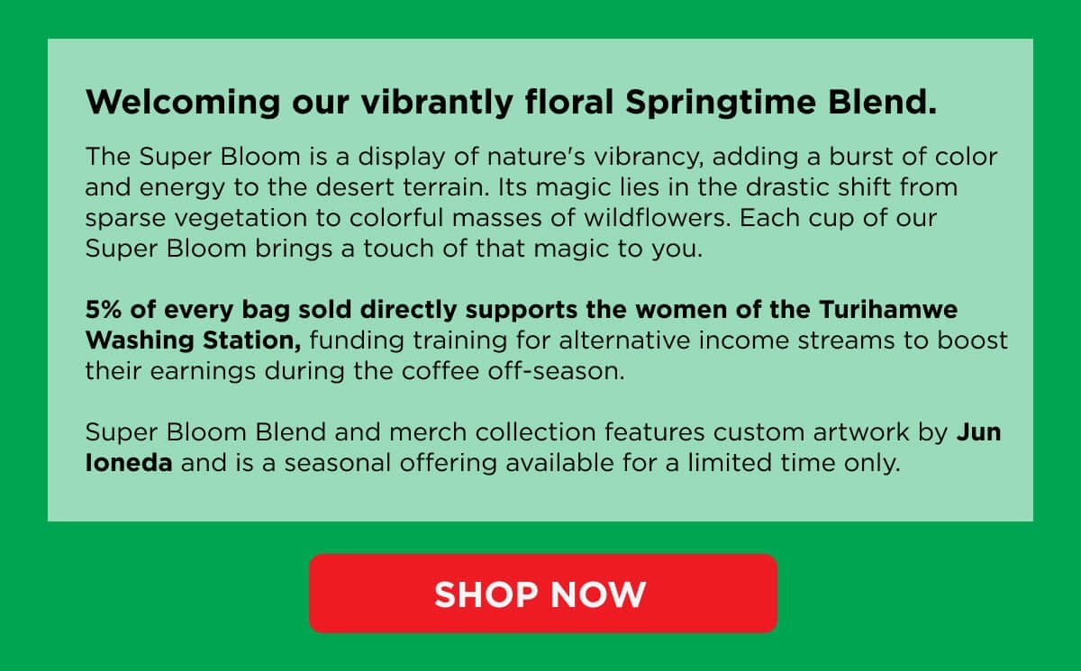 Welcoming our vibrantly floral Springtime Blend.