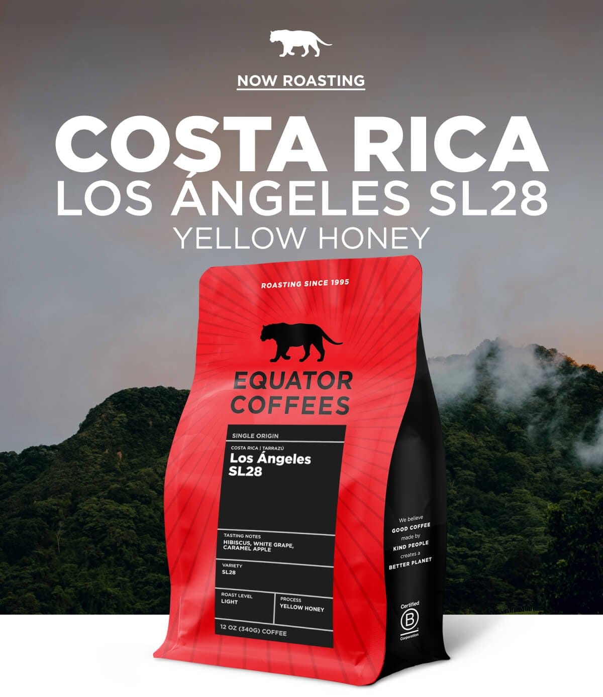 Now Roasting: Costa Rica Los Angeles SL28 Yellow Honey