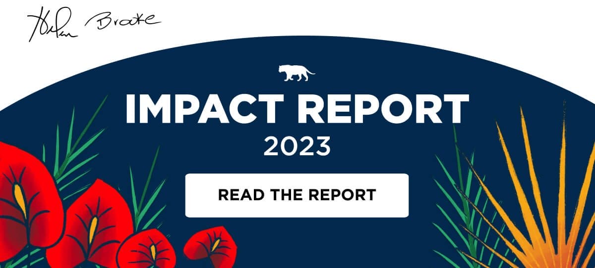 Read our Impact Report