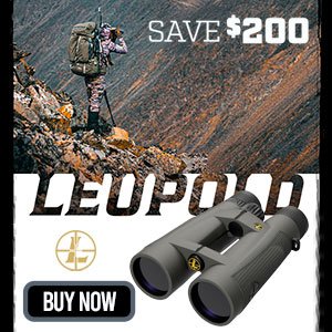Leupold BX-5 Santiam HD 8x42mm Shadow Grey Binoculars