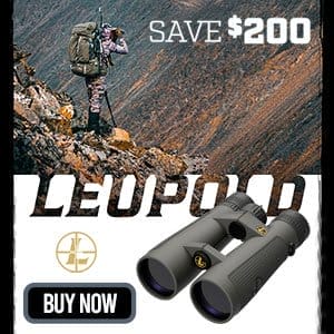 Leupold BX-5 Santiam HD 10x42mm Shadow Gray Binoculars